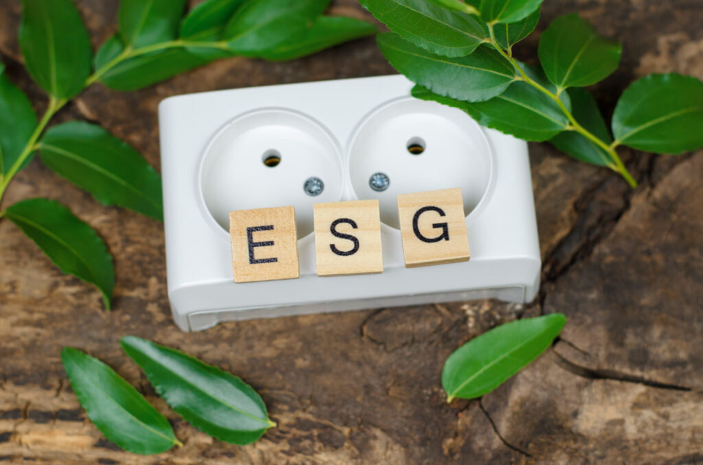ESG abbreviation on wooden cubes against the background of a white rosette. The concept of environmental conservation. Environmental Social Governance.